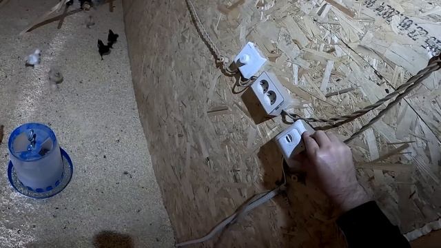 Забрали экскаватор ! Страус нападает ! ХУТОР В ЛЕСУ №729 смотреть онлайн