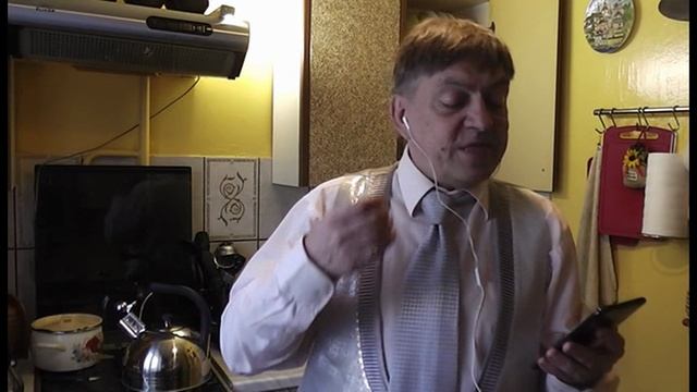 004. Крылатый странник