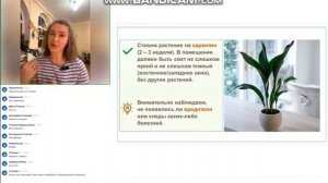 Вебинар с Катей