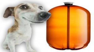 СОБАКА И КЕГА