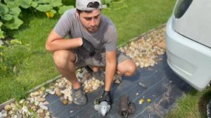 Не крутит стартер! Замена стартера Газель 405 евро 3