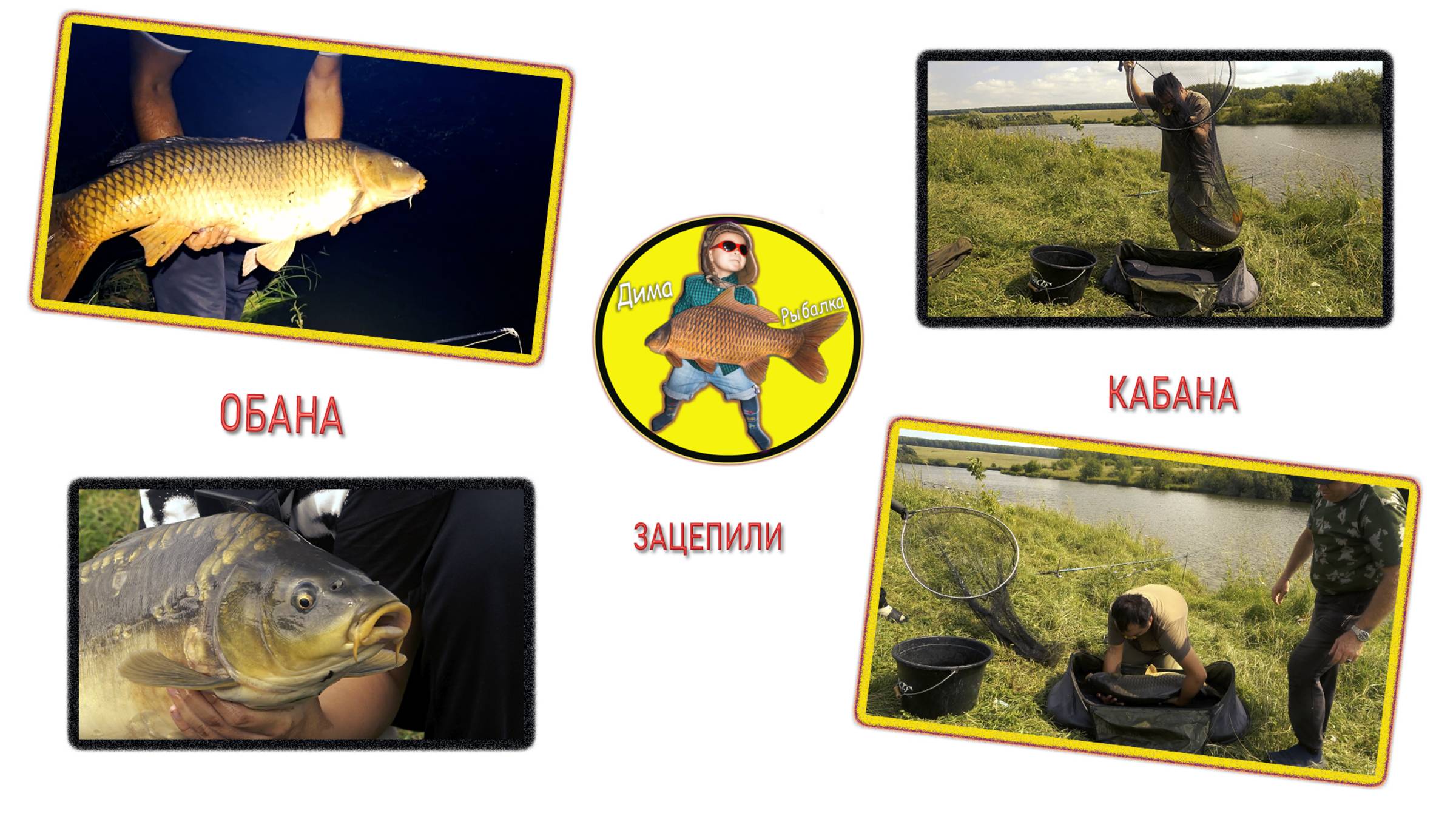 Огромные карпы вышли на охоту смотреть онлайн