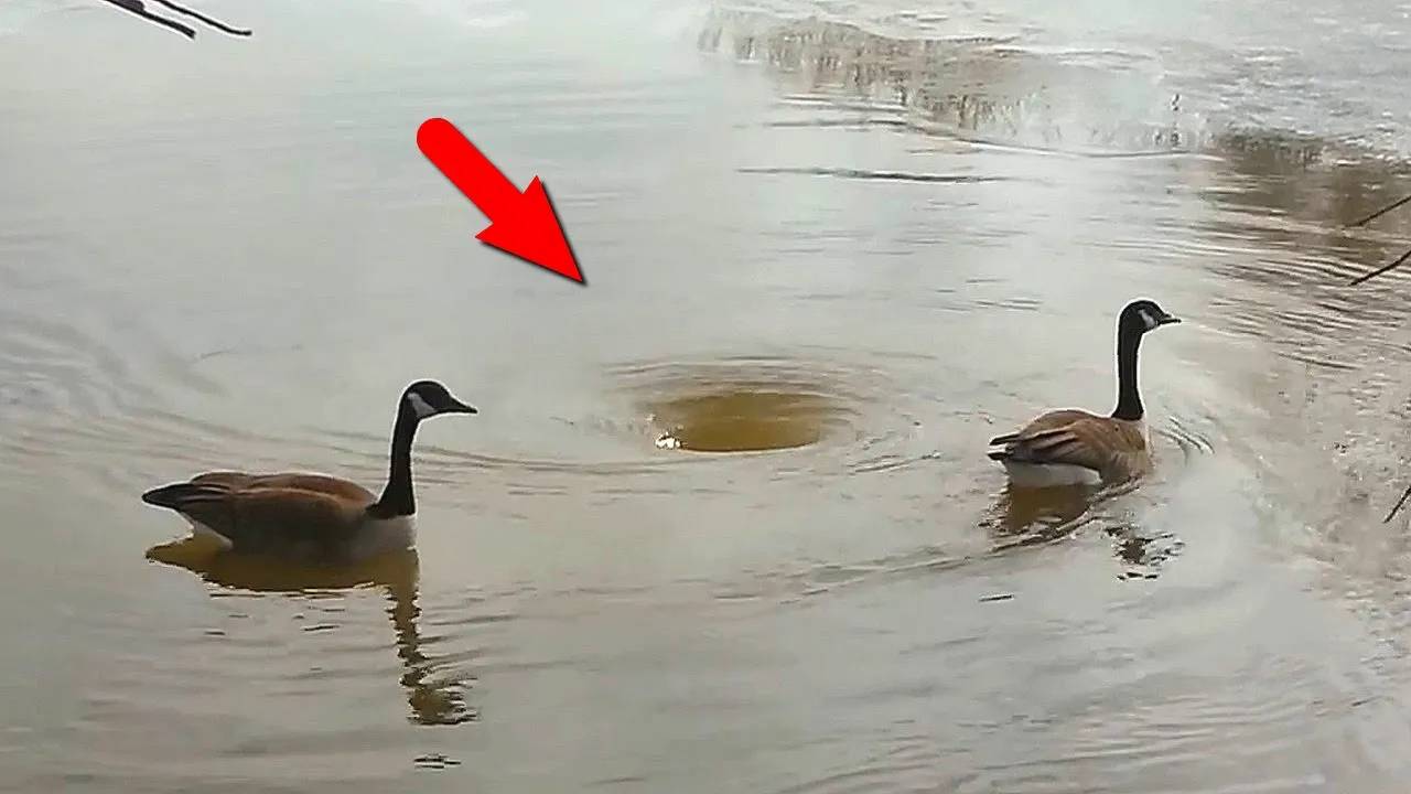 Удивительные моменты с водой, снятые на видео! смотреть онлайн