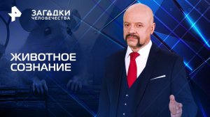 Животное сознание — Загадки человечества с Олегом Шишкиным (11.08.2025)