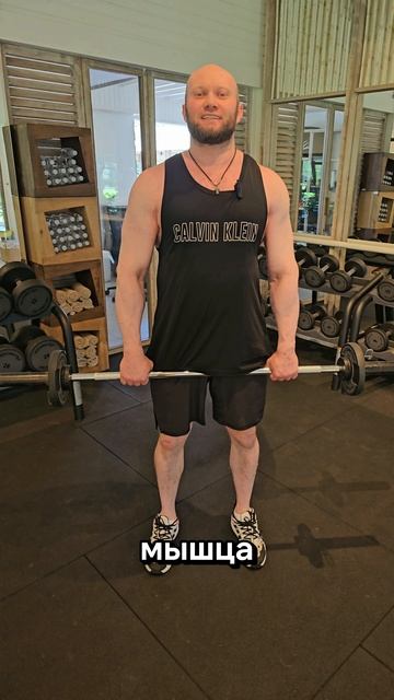 Роковое положение головы в тяге штанги к поясу в наклоне смотреть онлайн