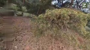 СВО   ВСУ та сторона Войны