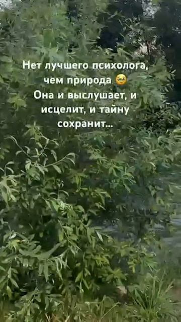 Правда смотреть онлайн