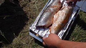 ПРАВИЛЬНАЯ ЩЕПА ДЛЯ КОПЧЕНИЯ