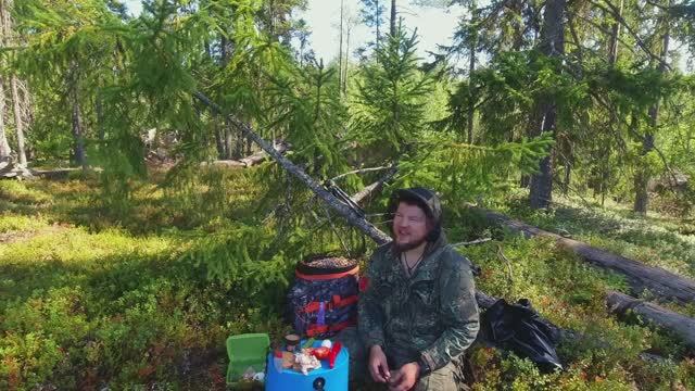 6 ТЫСЯЧ ЗА НЕСКОЛЬКО ЧАСОВ. КАК ЗАРАБОТАТЬ НА ЯГОДАХ. СБОР ЧЕРНИКИ НА ПРОДАЖУ. ТЯЖЁЛЫЙ ПРОМЫСЕЛ смотреть онлайн