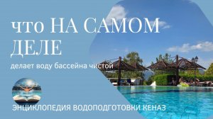 Что действительно поддерживает чистоту воды в бассейне?