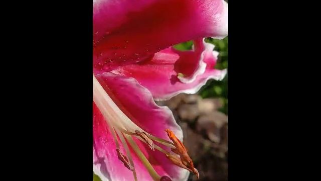 КОМЕДИЯ РОК Останется Любовь!)) смотреть онлайн