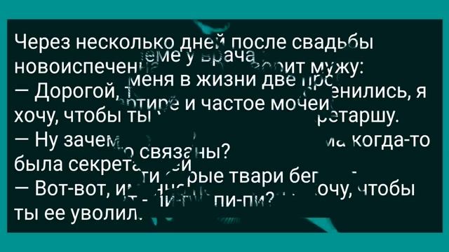 Муж Застал Жену с Кумом в Сарае! Сборник Свежих Анекдотов! Юмор смотреть онлайн