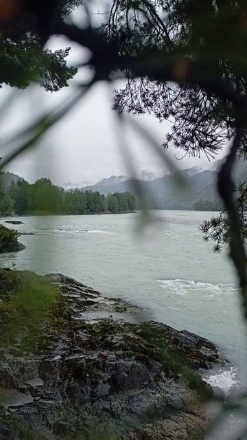 Доброе Утро от Живой Воды