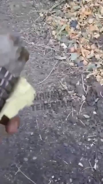 Видео с передовой смотреть онлайн