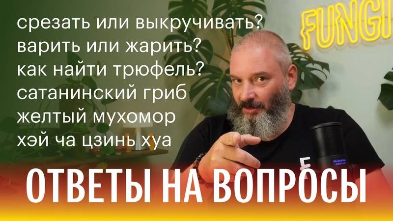 Отвечаю на ваши вопросы о грибах. смотреть онлайн