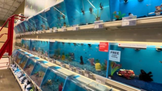 США Мини шопинг: Зоомагазин Petsmart и Sprouts