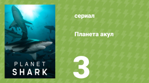 Планета акул 3 серия «Экстремалы» (документальный сериал, 2022)