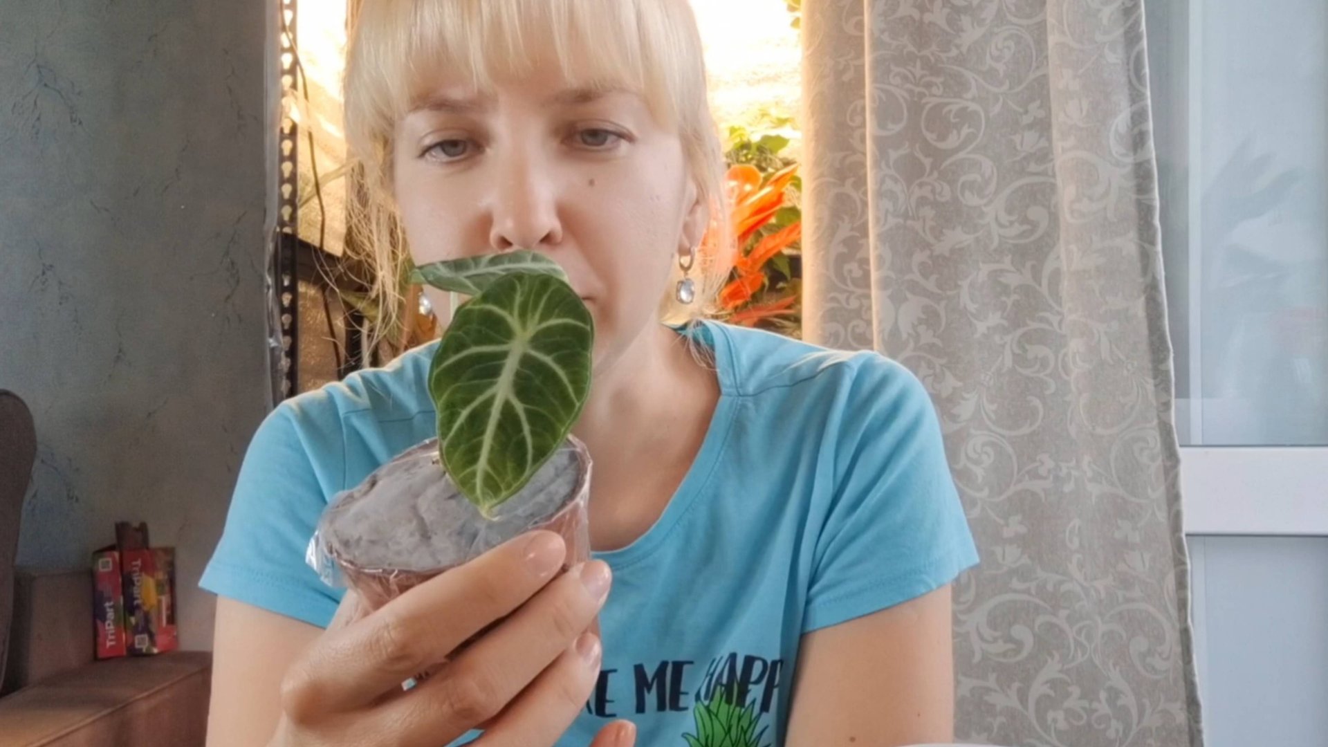 Чем закончилась история с растением с Озон. смотреть онлайн