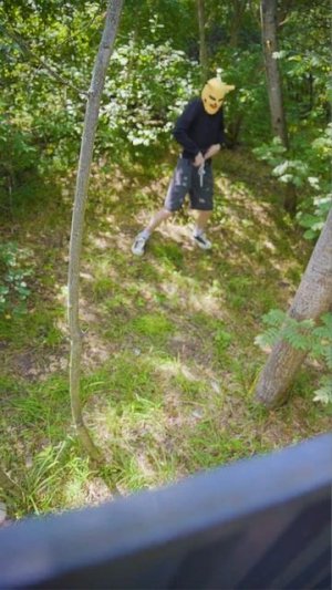 Wednesday is better than any alarm system! #wednesday #funny