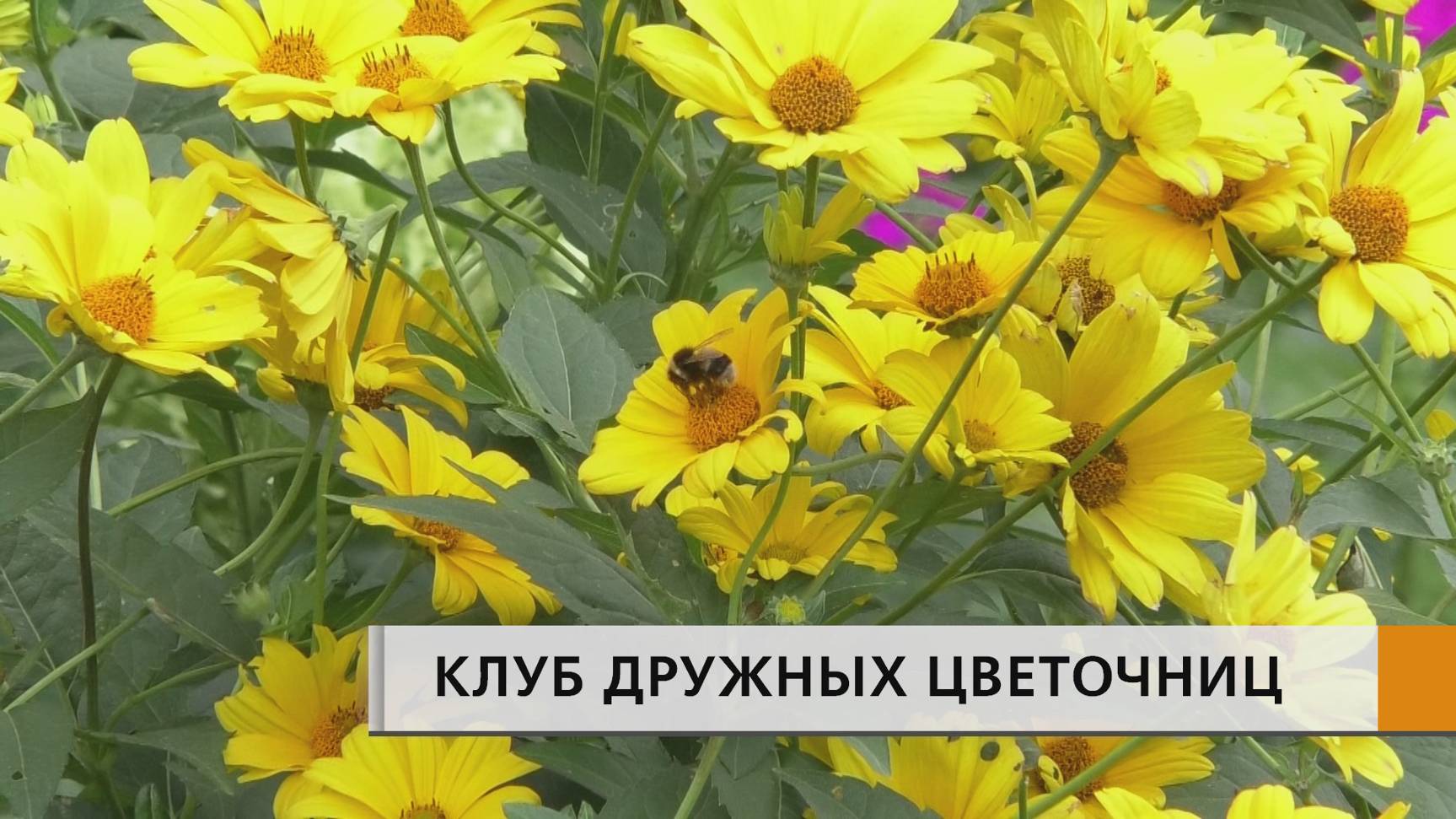 ЭФИР Набережные Челны