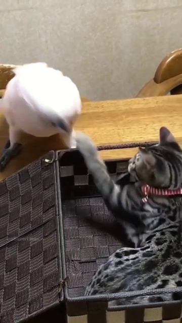 Счастье есть! смотреть онлайн