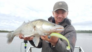 Испытал новое удилище на крупном судаке. Судак на джиг.