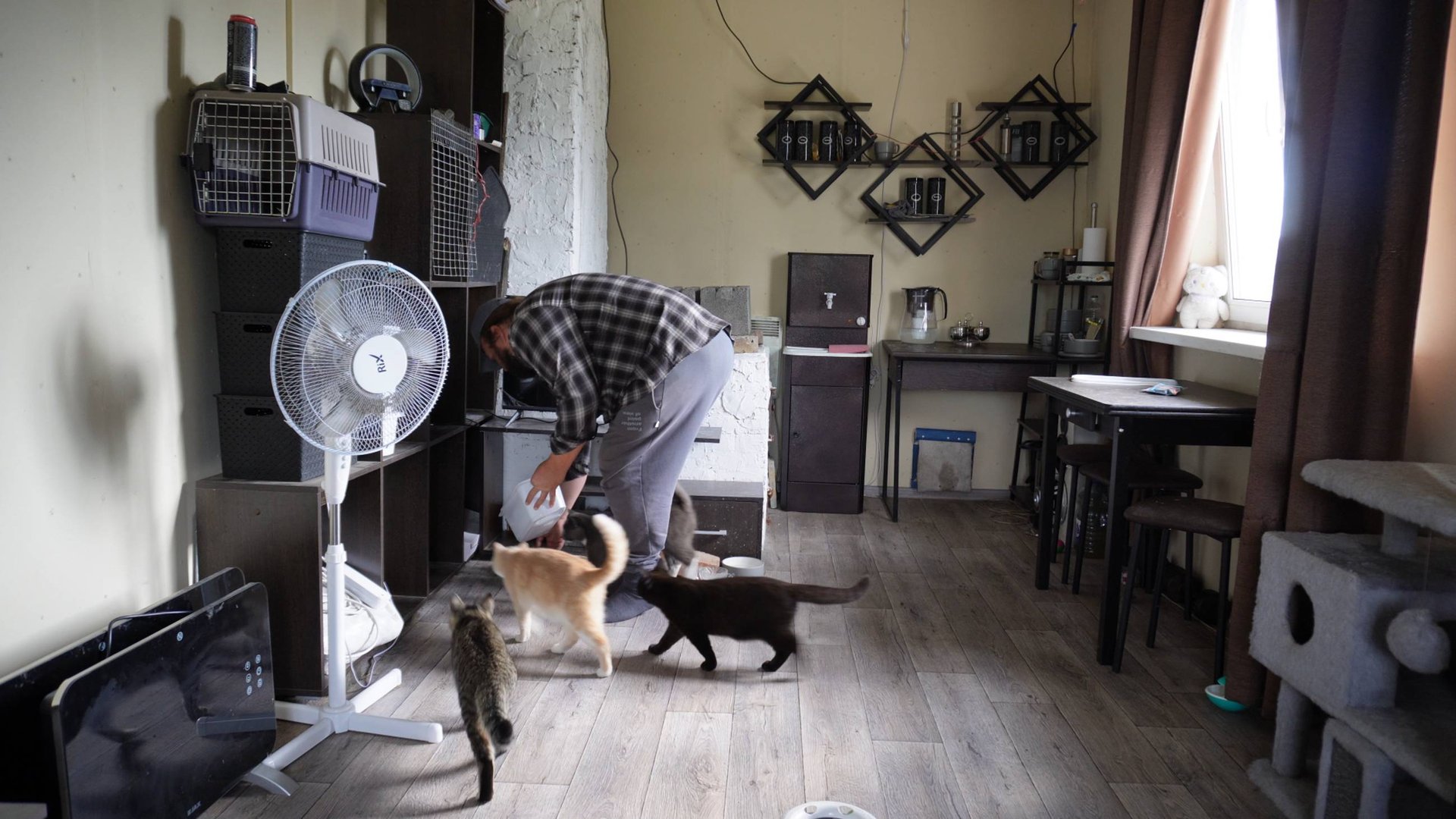 Что выросло на 12 августа в деревенском огороде кроме сорняков ПОДВАЛ ИЛЬИЧА утро в деревенском доме смотреть онлайн