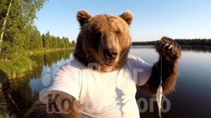 Косолапый в отпуске