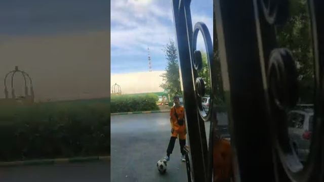 🐹 смотреть онлайн