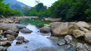 Ручей в лесу. Шум воды. Звуки природы для отдыха сна и релаксации