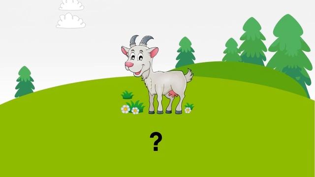 Pre A1 Fun for Starters - Animal vocabulary Cambridge English YLE Exams