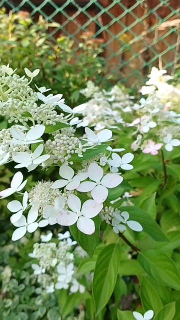 Красиво ведь? 09.08.2025 смотреть онлайн