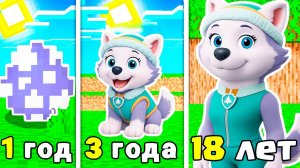 КАК МЕНЯЛАСЬ ЭВЕРЕСТ ЩЕНЯЧИЙ ПАТРУЛЬ В МАЙНКРАФТ