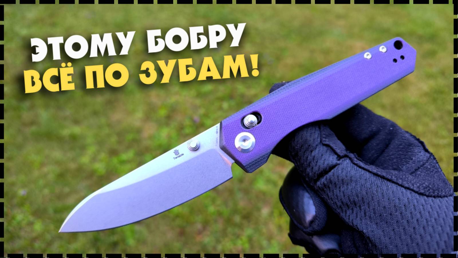 ЛУЧШИЙ СКЛАДНОЙ БЮДЖЕТНЫЙ НОЖ? Tenable Knives Beaver