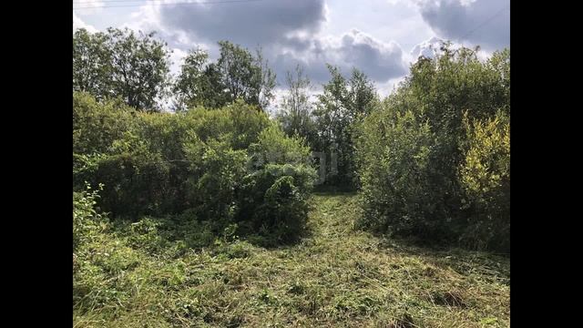 9553050 смотреть онлайн
