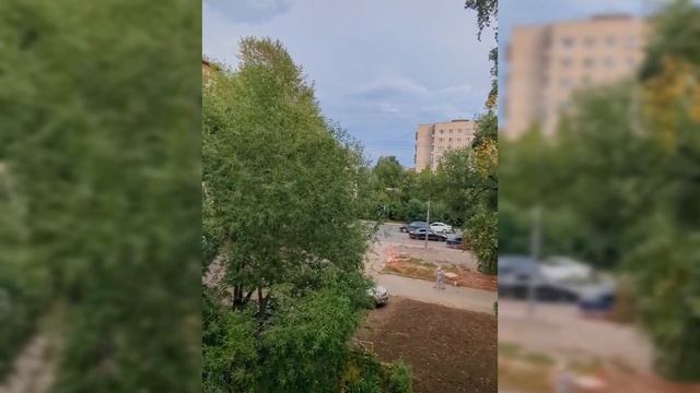 елизаровых