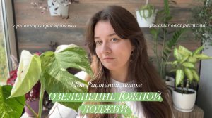 Вместе озеленяем Лоджию | размещение растений на южной стороне | подвесы, новый стеллаж