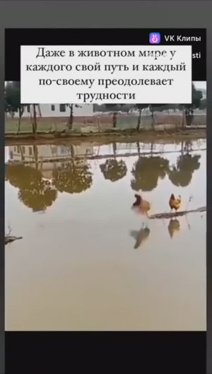 У каждого свой путь😂