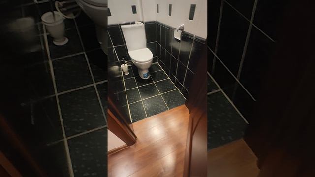 VID_20250812_113132.mp4