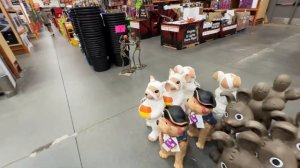 США VLOG На разведку в садовый магазин, Сходили на Дикого Робота