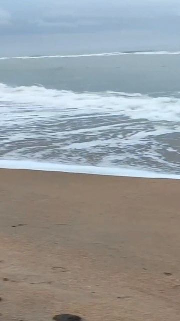 СПбГУ помогает Черноморскому побережью смотреть онлайн