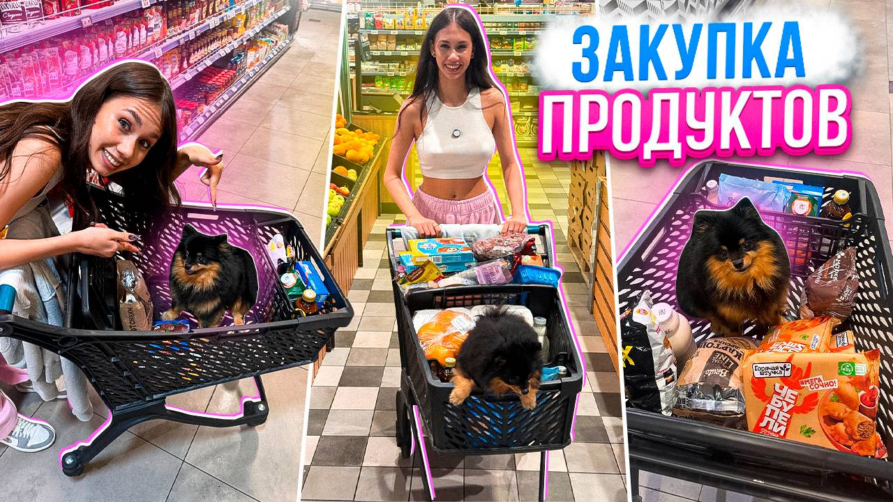 Ночная ЗАКУПКА ПРОДУКТОВ с СОБАКОЙ😋 смотреть онлайн