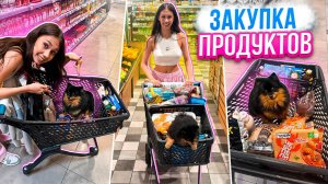 Ночная ЗАКУПКА ПРОДУКТОВ с СОБАКОЙ😋