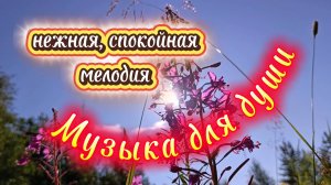 МУЗЫКА  ДЛЯ  ДУШИ . Нежная мелодия.  Релакс.