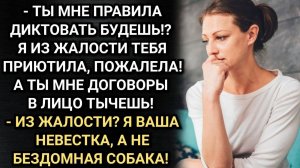Свекровь установила свои порядки в доме, а потом подала на Ирину в суд. Аудио рассказы