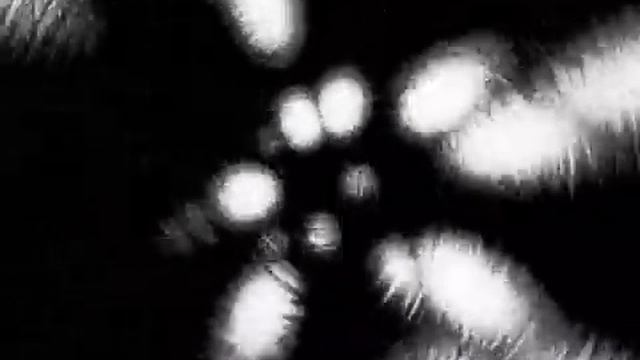 Баннер НАЗ Id9