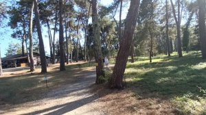 Абхазия Пицунда Лдзаа/коты едят сулугуни/как поставить зонт/велосипеды/море