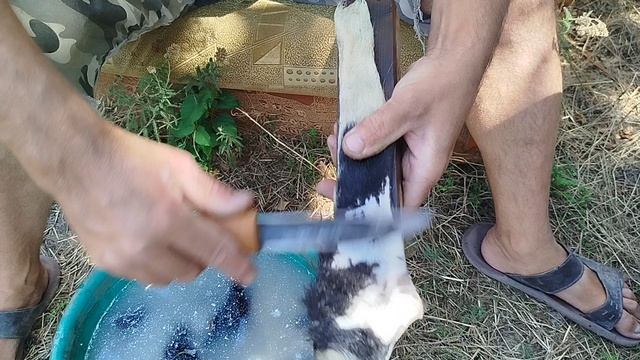 Бритьë коровьих хвостов колымским ножом смотреть онлайн