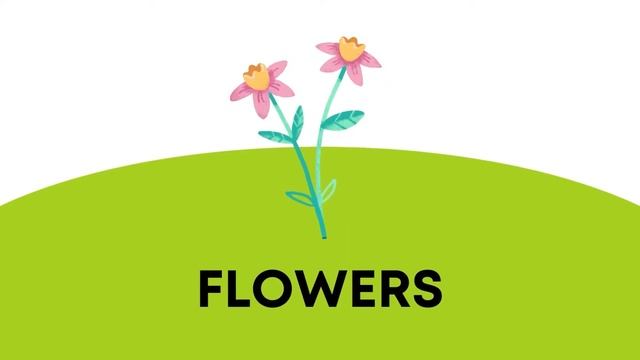 Pre A1 Fun for Starters - The Home vocabulary Cambridge English YLE Exams