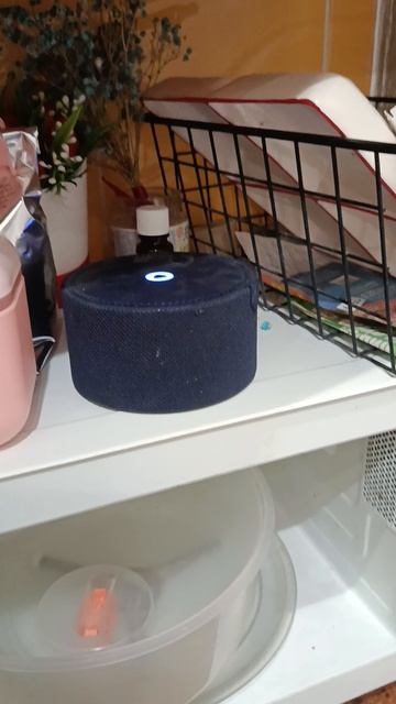 Интересно, знает ли Алиса Лабубу или нет??? смотреть онлайн